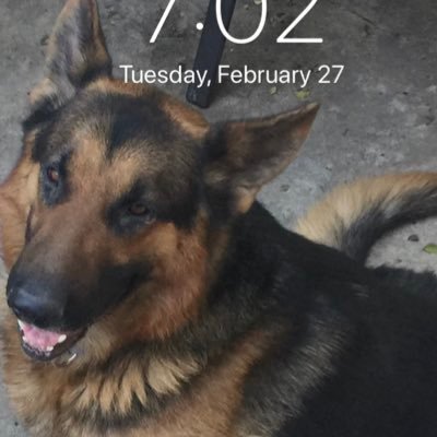 Hanks1John's profile picture. Security