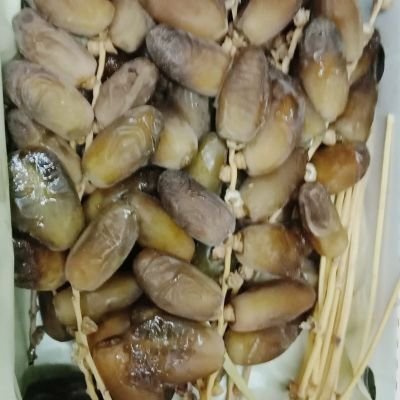 MOAHEMD_M_Ali's profile picture. 