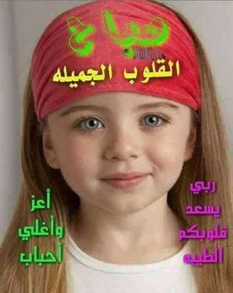 abdelwhabkaml88's profile picture. 