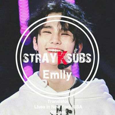 |StrayKSubs| KOR-ENG translator