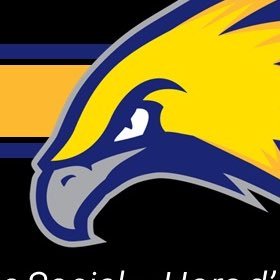 LCCC Golden Eagles are a NJCAA Division I Region IX Athletic Department.