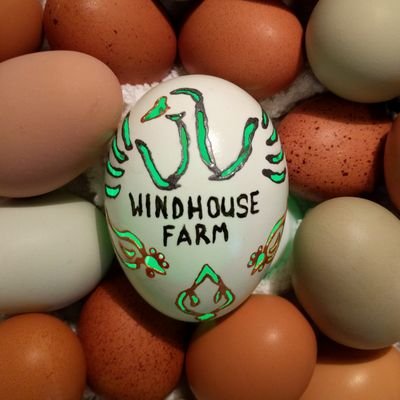 On Twitter hiatus to raise toddler. Still selling eggs locally, contact if interested.