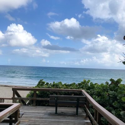 myubil's profile picture. 