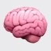 Neuro ACCP (@accpneuro) 's Twitter Profile