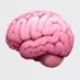 Neuro ACCP (@accpneuro) Twitter profile photo Neuro ACCP (@accpneuro) Twitter profile photo
