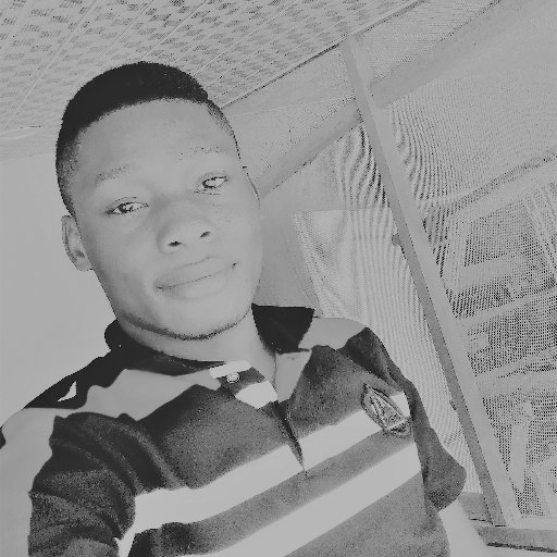 ginchukwu's profile picture. I love creating.

Fiverr - https://t.co/Z4gzetTa2F