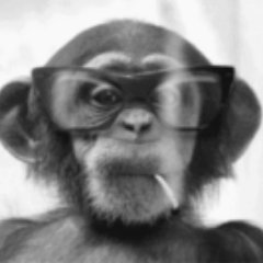 MKFGeorge's profile picture. I'm into winning money on https://t.co/Aq1hWCyqBM