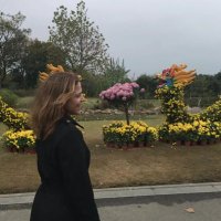 Karen M Gelardi (@gelardikaren) 's Twitter Profile Photo