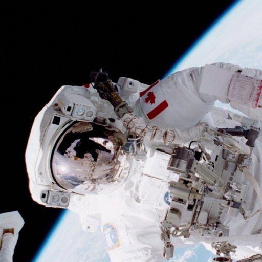 🇨🇦Gr7/8s. Kitchener, Ontario. WRDSB. Learning new things everyday in every way. Always exploring new technology. Discovering things we never knew we could do.