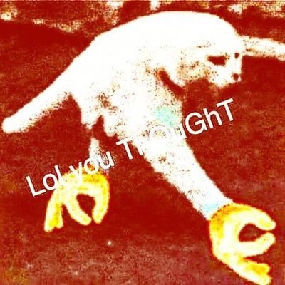 FarmerDaryl2's profile picture. I love Guns and The Outdoors and hate emojis.