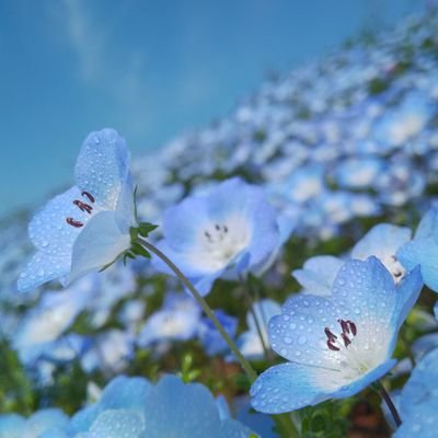 人と動物が共生できる優しい社会を🍀