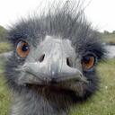 Fernando Toscano - @Dagster_2010 - Twitter