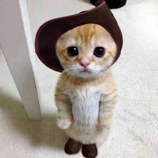 SpeedRider11's profile picture. gamer that becoming an IT guy. minecraft server staff on  ip: https://t.co/M6bk0ft6Fn web: https://t.co/2GsTXv2dgY 
starting to sell minecraft builds