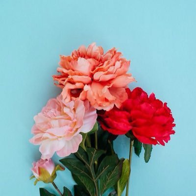 kalangitsenja's profile picture. kau tahu? kadang bercerita sedikit bisa membuatmu tenang