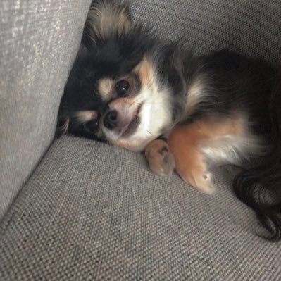 aaar__s2's profile picture. 