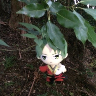 まお₍˄·͈༝·͈˄*₎◞ ̑̑さんのプロフィール画像