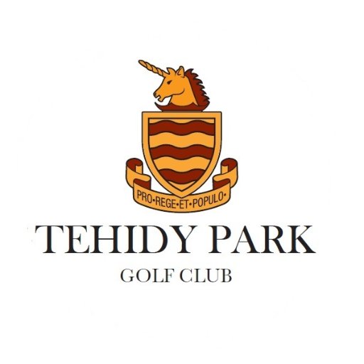 TehidyParkGC Profile Picture