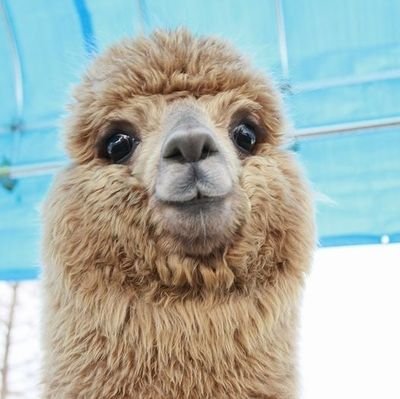 DeMichelMan's profile picture. 