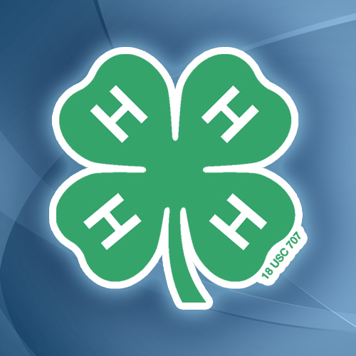 4-H programs are planned to help develop life skills in citizenship and leadership.