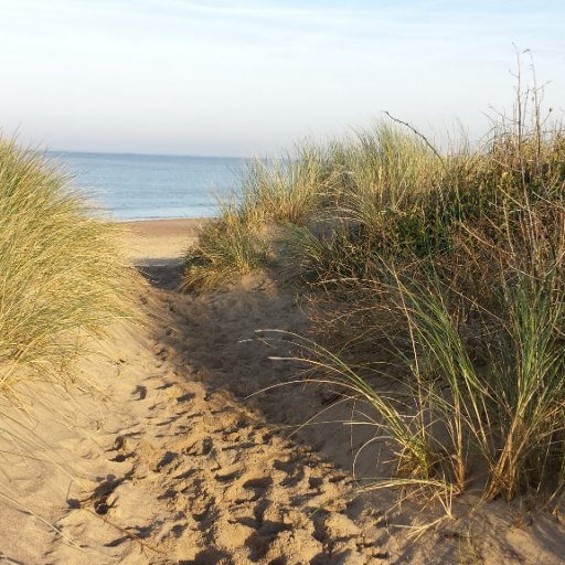 CaroVH1's profile picture. Office manager