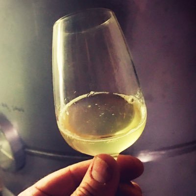 thewinecurator's profile picture. 