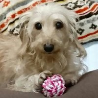まりお (@11131203tk) Twitter profile photo