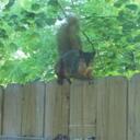 Teddy Ford - @BernardTheodore - Twitter