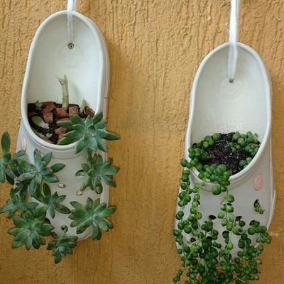 amo_noelia's profile picture. Soy amante de los animales, aventuras
Soy Enfermera