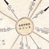 鹿児島大学 免疫学分野（Dept. Immunology in Kagoshima Univ.） (@kadaimeneki) Twitter profile photo