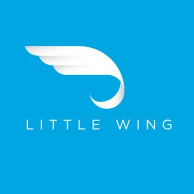 Little Wing