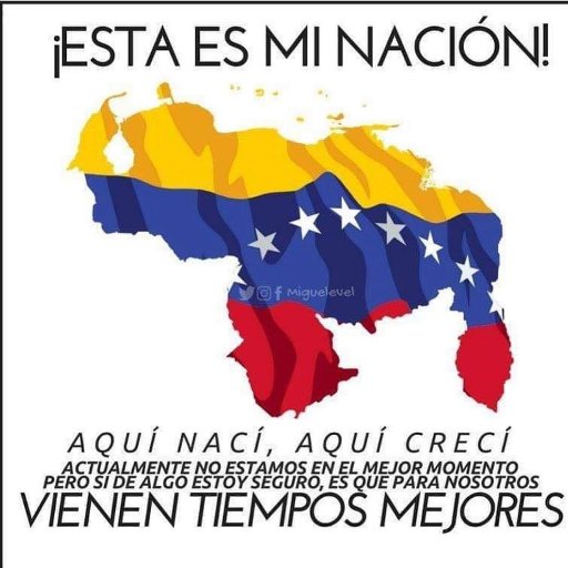 venezolano chavista