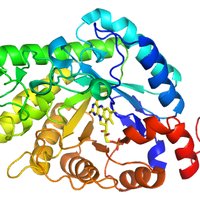 Biocatalysis@TUDelft(@BiocatTUD) 's Twitter Profile Photo