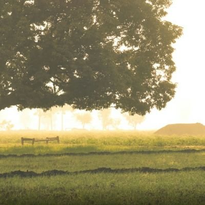 Abhi15994585's profile picture. 18+ only. fantasy porn star...Looking for something special