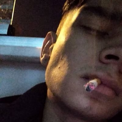 Erhan88331489's profile picture. 