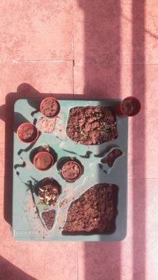 Sahib17756154's profile picture. Next stop 
On top🙃