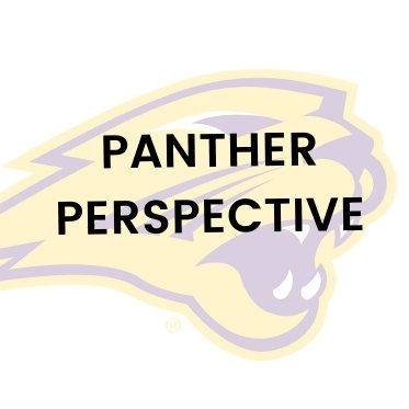 Panther Perspective