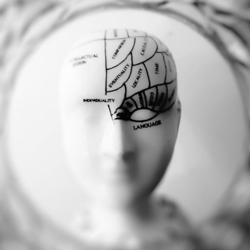 Involuntary thinker (where do you turn this thing off?), oxymoron and fallacy denouncer, ontological anarchist, issue detector, improvement activist, and fixer.