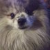 Mac Fearghus (@macfearghus) Twitter profile photo Mac Fearghus (@macfearghus) Twitter profile photo