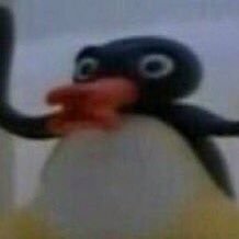 hanukkahhowelll's profile picture. Dan and Phil