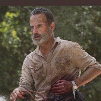 Rick Grimes(@rick7grimes) 's Twitter Profile Photo