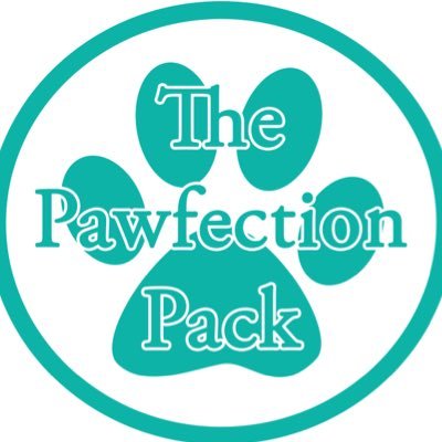 🇬🇧Pet Subscription Box🇬🇧 Monthly boxes for cats and dogs themed around the time of year and pop culture 🐾