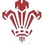 Welsh Schools Rugby Union Junior Group Official Twitter Account