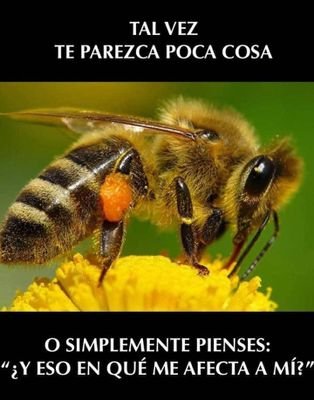 anitaoa6's profile picture. La vida es la mas bella