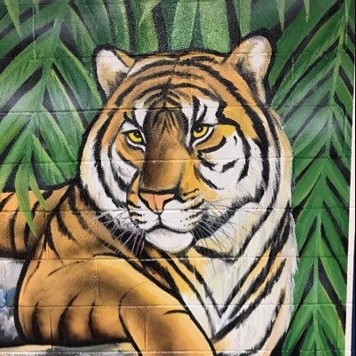 KilbyTigersRoar Profile