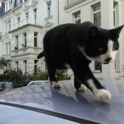 aymandergro's profile picture. 