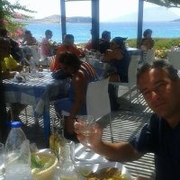 StefaNoPonte🚨⭐⭐⭐⭐⭐ 🇮🇹🇬🇷 (@mirandola59) 's Twitter Profile Photo