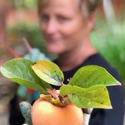 jillsh3's profile picture. With malice toward none, with charity for all. 🎶📚🏊🏼🏞🙏🏻❤✌🏻