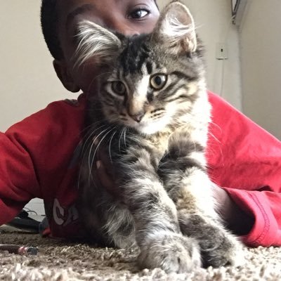 normanj98867107's profile picture. Games NHL Games Trending Fitness & Wellness Art NBA Celebrity History Cute General News NFL Hip-Hop/Rap R&B/Soul Industry News eSports Soccer Industry News