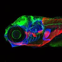 Knight group (@knightgroup1) 's Twitter Profile Photo