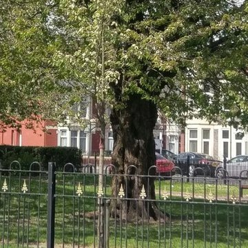 pentregardensCf's profile picture. keeping our community together.